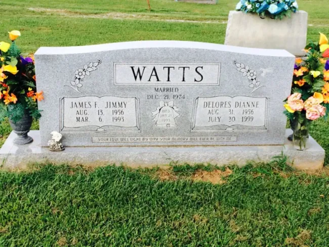 Diane Watts murder